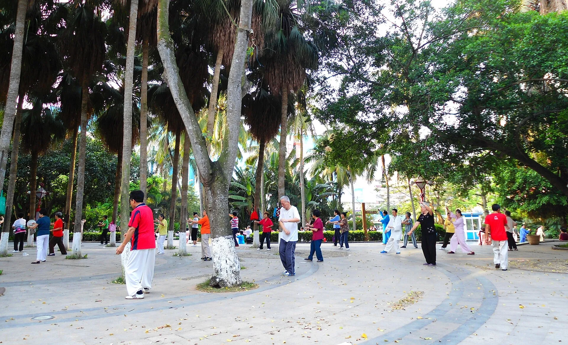 Older people practising tai chi together under trees in a city park