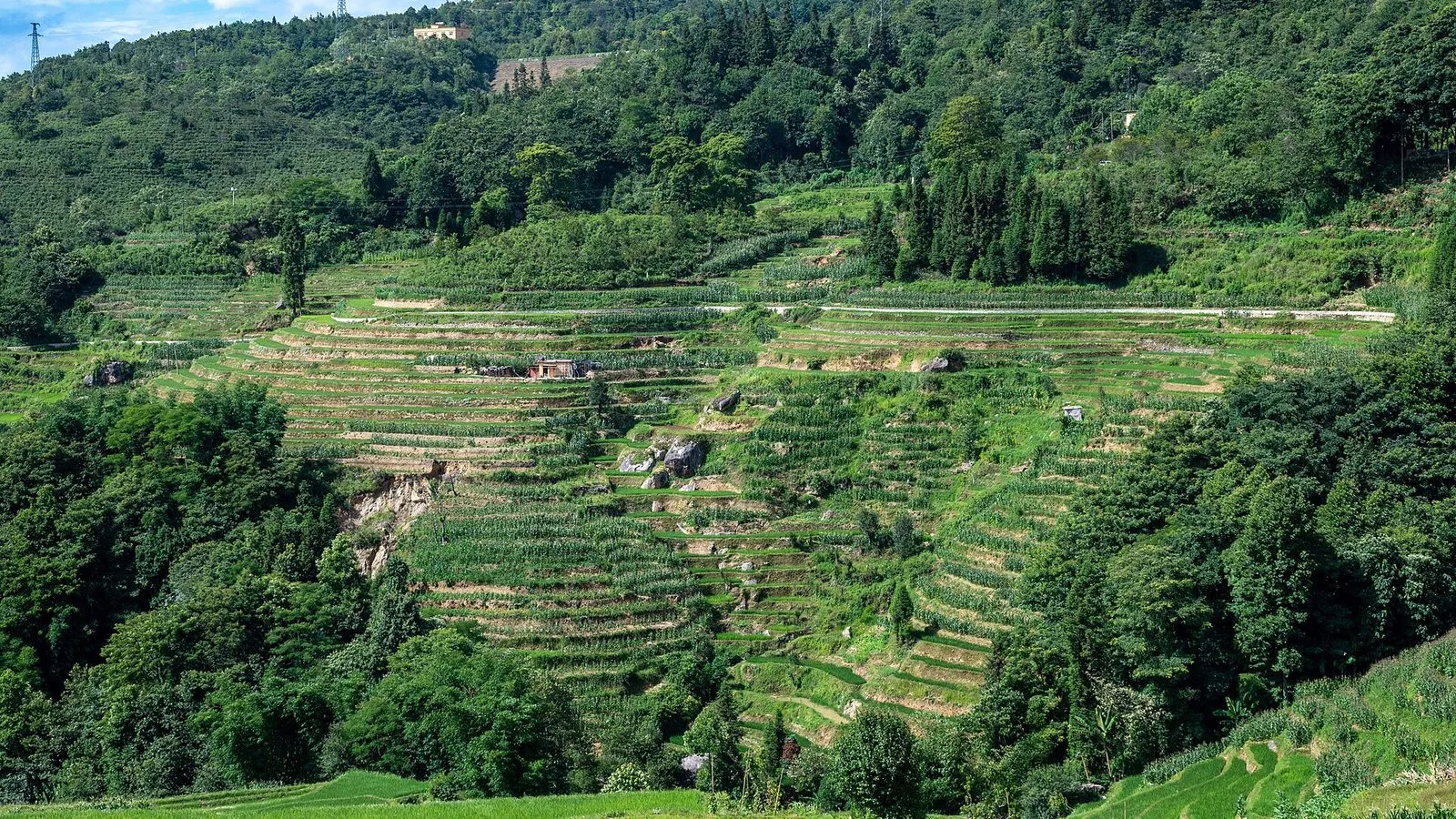 The Honghe Hani Rice Terraces in Yunnan