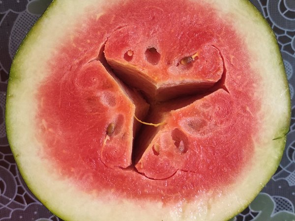 Watermelon